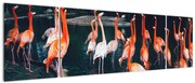 Obraz stada flamingów (170x50 cm)