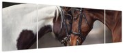 Obraz - Zakochane konie (170x50 cm)