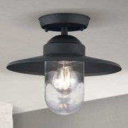 Orion AL 11-1317 - Zewnętrzny przysufitowy żyrandol EDWARD 1xE27/60W/230V IP44 antracyt