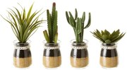 Sztuczne rośliny zestaw 4 szt. (wysokość 18 cm) Cactus – Casa Selección