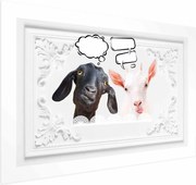 Plakat Śmieszne kozy 60x40 cm bez ramy bez marginesu ARTGEIST B