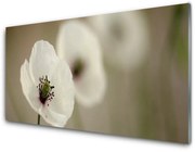 Obraz Akrylowy Kwiat Roślina Natura