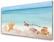 Obraz Akrylowy Rozgwiazda Muszle Plaża