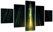 Obraz ciemnego lasu (125x70 cm)