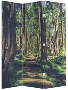 Parawan - Ścieżka wśród drzew (126x170 cm)