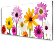 Panel Szklany Kolorowe Kwiaty Natura