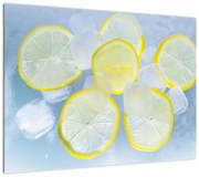 Obraz cytryn w lodzie (70x50 cm)