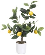 Dekoracyjne drzewko cytrynowe, 58 cm