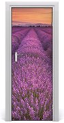 Naklejka na drzwi samoprzylepna Pole lawendy