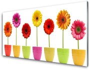 Panel Szklany Kwiaty Roślina Natura