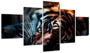 Obraz leżącego tygrysa (125x70 cm)