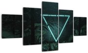Obraz - Neonowy trójkąt w dżungli (125x70 cm)