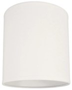 Plafon 1xE27/40W/230V biały