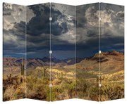 Parawan - Kaktusy w przyrodzie (210x170 cm)