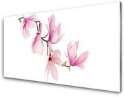 Obraz Akrylowy Kwiaty Roślina Natura