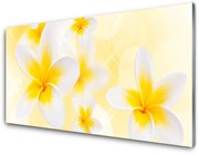 Obraz Akrylowy Kwiaty Roślina Natura