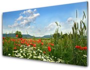 Obraz Akrylowy Łąka Kwiaty Natura Roślina
