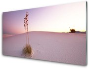 Obraz Akrylowy Pustynia Piasek Krajobraz