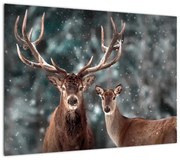 Obraz - Jeleń i łania w zaśnieżonym lesie (70x50 cm)