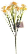 Narcyz żółto-biały, bukiet z 15 kwiatami, wys. 32cm