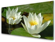 Panel Szklany Kwiaty Rośliny Przyroda