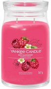 Yankee Candle Duża świeca zapachowa Signature Red Raspberry, 567 g, L