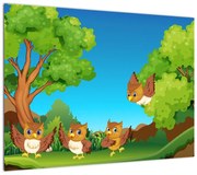 Obraz - Wesołe sówki (70x50 cm)