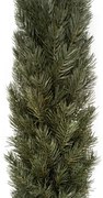 Girlanda świąteczna 100% PE Sosna Himalajska 270cm
