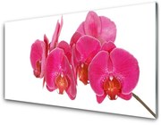 Obraz Akrylowy Kwiaty Roślina