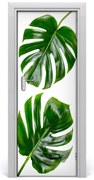 Okleina Naklejka fototapeta na drzwi Monstera