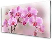 Obraz Akrylowy Kwiaty Roślina Natura