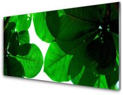 Panel Kuchenny Liście Na Ścianę