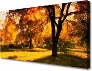 Obraz canvas Złota Jesień w Lesie