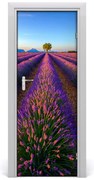 Naklejka na drzwi samoprzylepna Pole lawendy