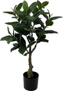 Sztuczna roślina kauczukowe drzewo - zielone