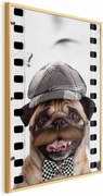 Plakat Mops w czapce 21x30 cm z ramą złotą bez marginesu ARTGEIST B