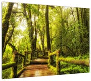 Obraz omszałej dżungli (70x50 cm)