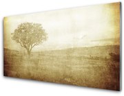 Obraz Akrylowy Drzewo Natura