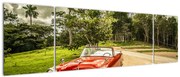 Obraz - zabytkowy samochód w przyrodzie (170x50 cm)