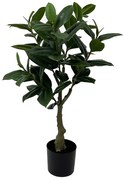 Sztuczna roślina drzewko kauczukowe, 69 cm