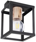 Globo 15476D - Oświetlenie sufitowe HAGAR 1xE27/60W/230V