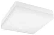 LED sufitowe światło łazienkowe 12W 230V 3000/4000/6000K 22x22 cm IP44