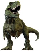 Naklejka 3D T-REX, 14 x 20 cm