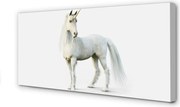 Obraz na płótnie Szlachetny Biały Jednorożec