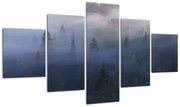 Obraz - Las we mgle, Karpaty, Ukraina (125x70 cm)