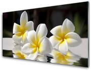 Panel Kuchenny Kwiaty Roślina Natura