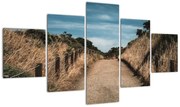 Obraz - Na szlaku (125x70 cm)