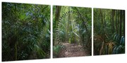 Obraz - Promienie słońca w dżungli (z zegarem) (90x30 cm)