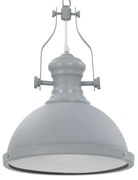 Szara loftowa lampa sufitowa C1-W19