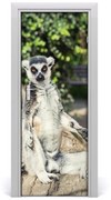 Naklejka samoprzylepna na drzwi Lemur